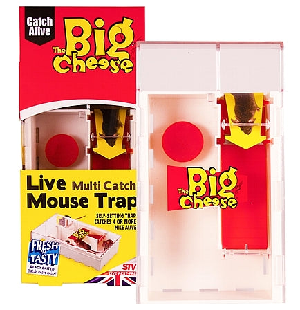 The Big Cheese - Ultra Power Live Multi-Catch Mouse Trap – SPR Centre