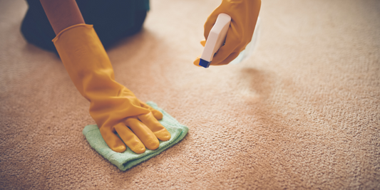 How to Get Throw Up Smell Out of Carpet