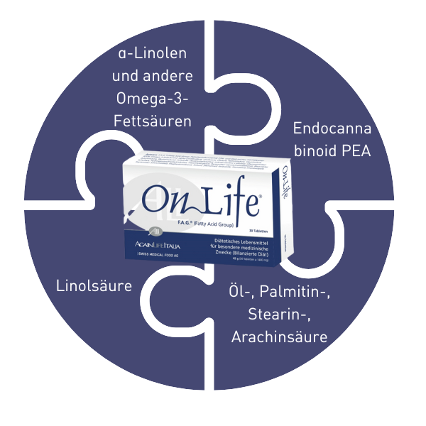 Grafik Puzzleteile Onlife mit Wirkstoffen PEA, alpha-Linolensäure, Omega-3-Fettsäuren, Linolsäure, andere Fettsäuren 