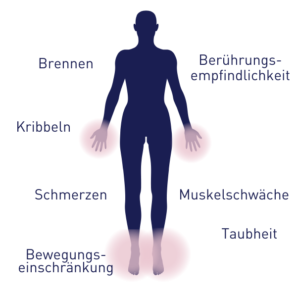 Grafik menschlicher Körper, daneben Symptome einer Polyneuropathie 