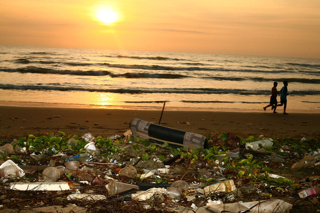 plastic pollution on beach