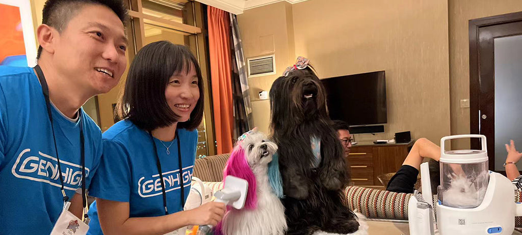 cofounder is grooming the pet with Neakasa P2 Pro