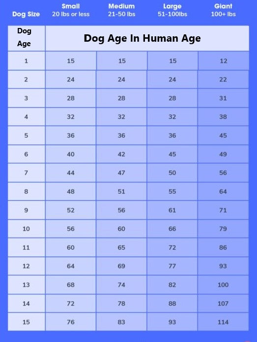 Dog Age to Human Age