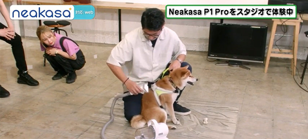 Star Dog is Experiencing Neakasa P1 Pro