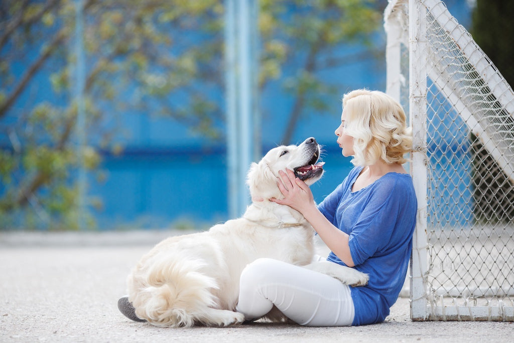 A Woman And A Dog