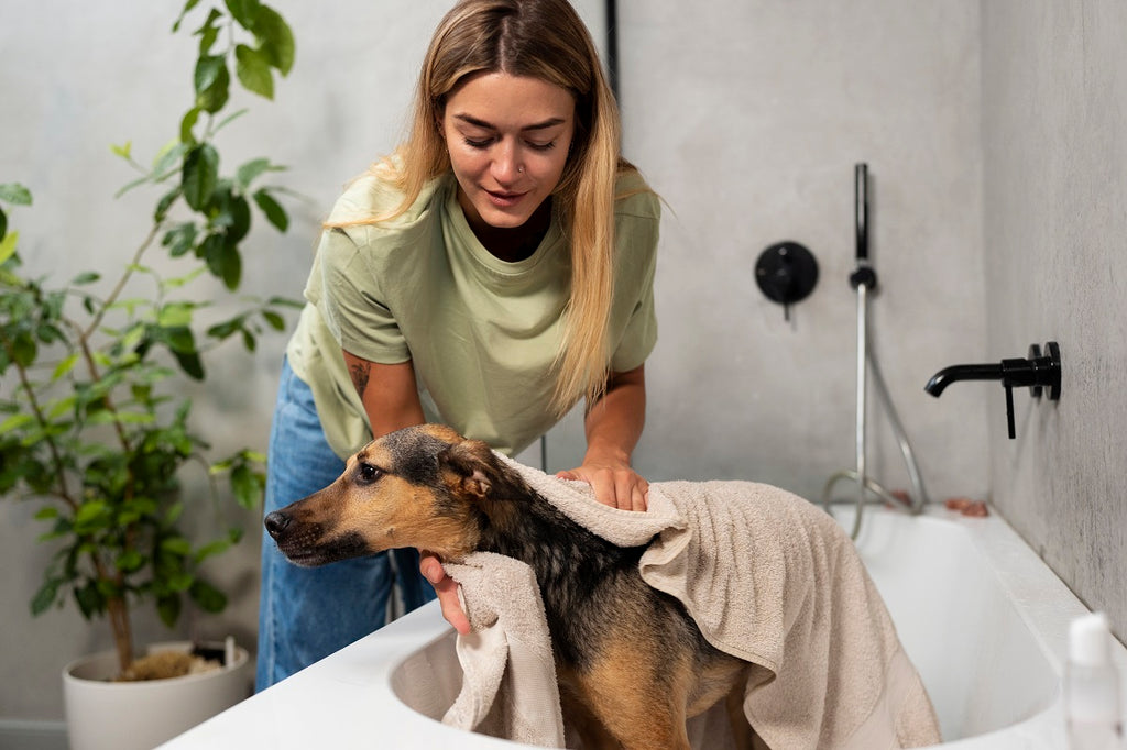 Dry A Dog With Bath Towel