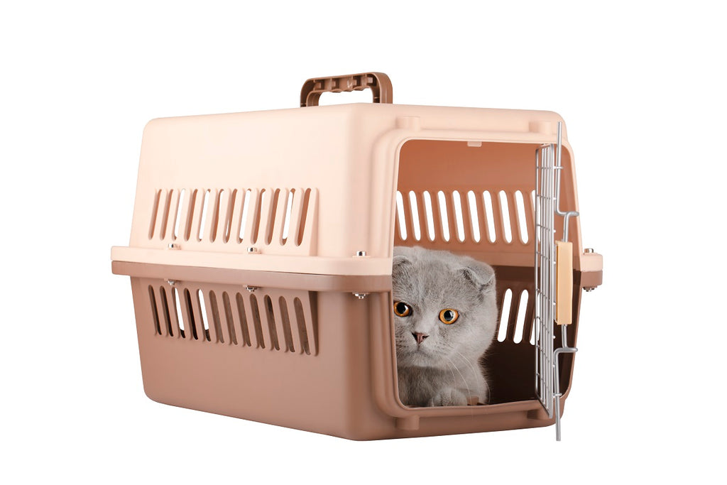 https://cdn.shopify.com/s/files/1/0657/0160/9691/files/gray-cat-brown-animal-cage-isolated-white-background_1024x1024.jpg?v=1677148567