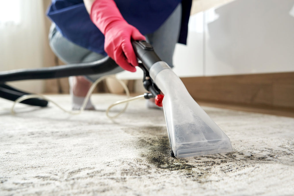 What Is The Best Vacuum Cleaner For Carpet?