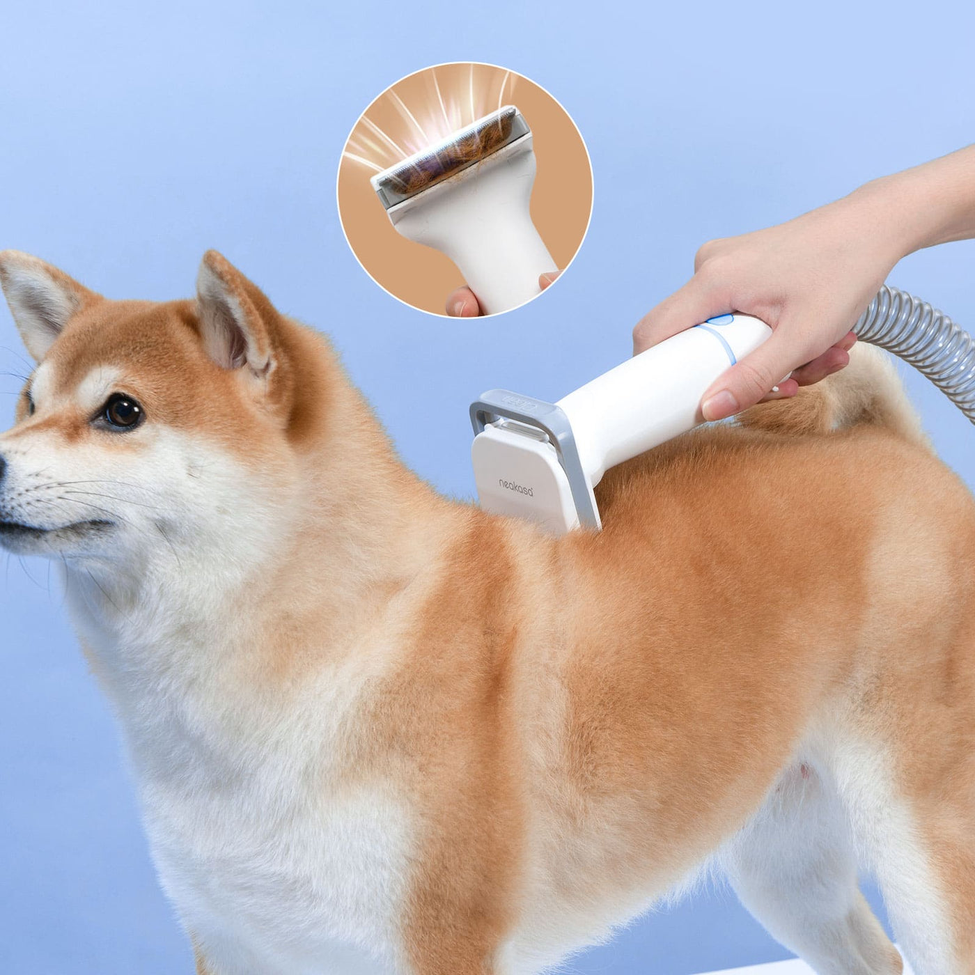 what products do groomers use on dogs