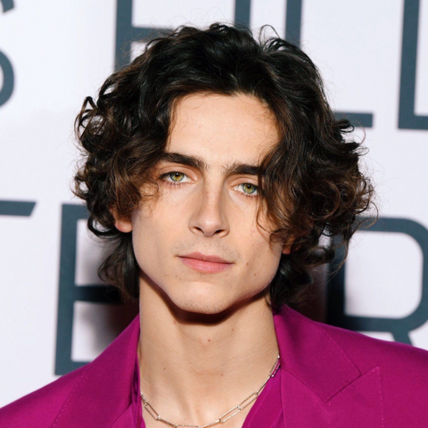 Image of Timothée Chalamet