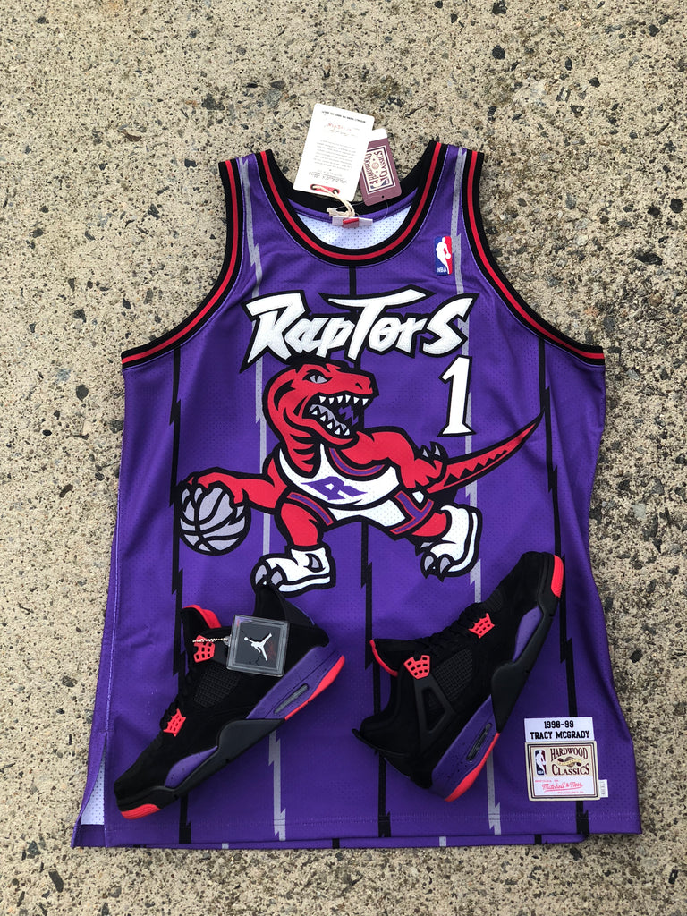 jordan 4 raptors shirt