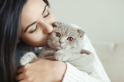 10 Ways to Celebrate National Cat Lovers' Month