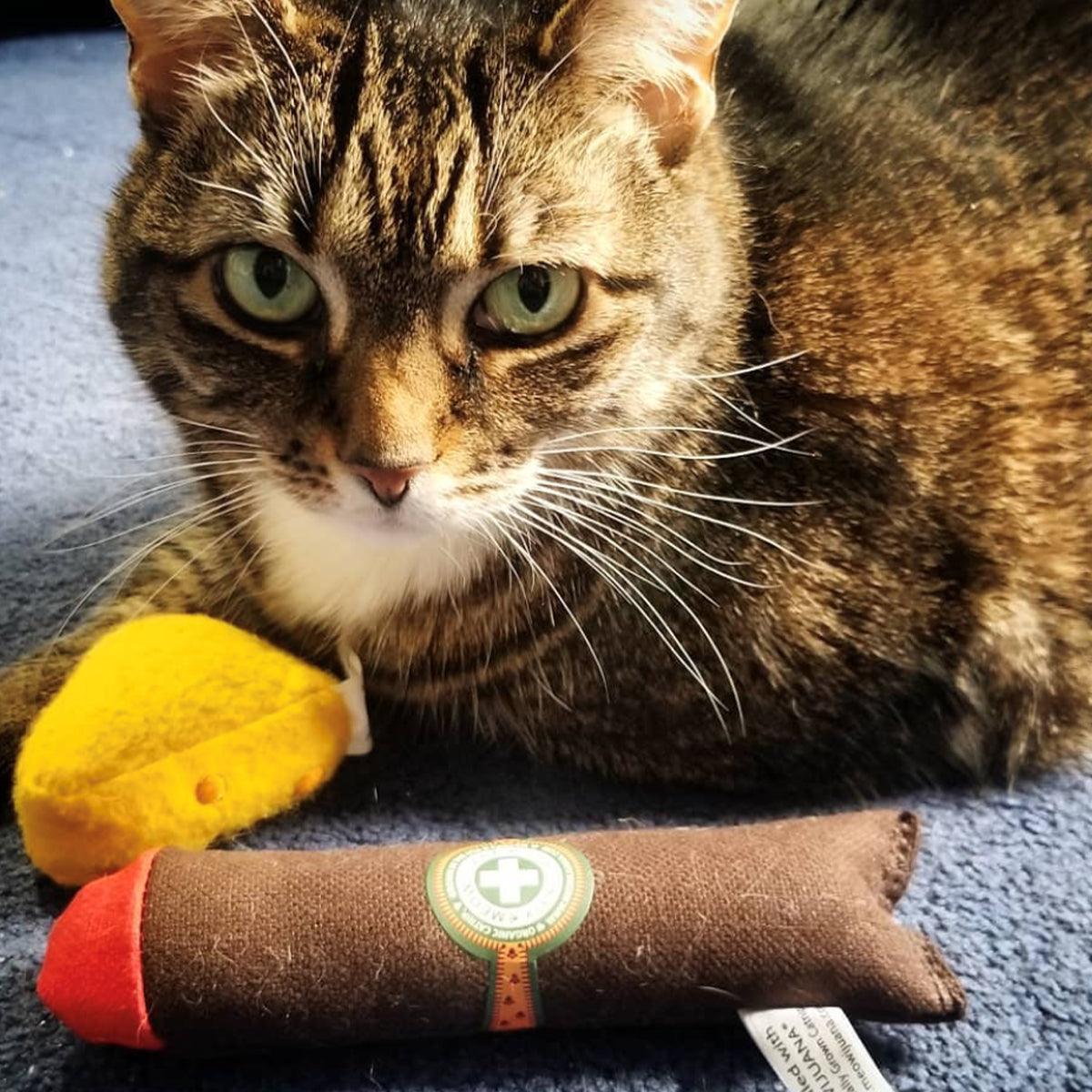 Catnip Cigar