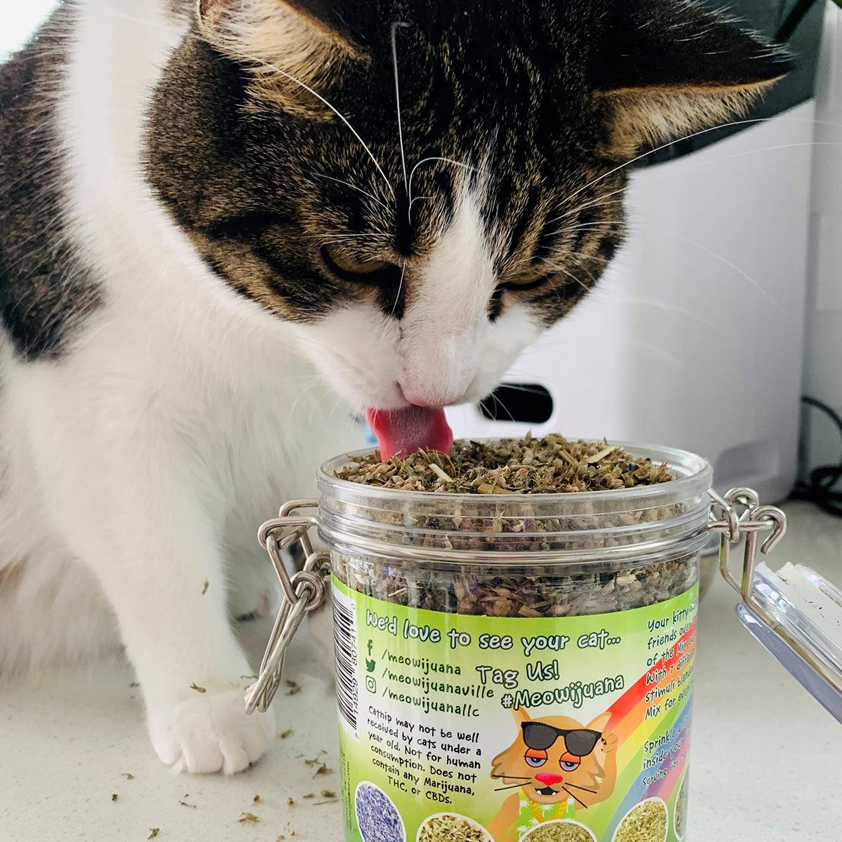 Jar of Catnip Pawty Mix