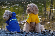 Dutchwide - Hundemantel - Regenmantel Hund - Gelb - Größe XL - 00b818d54beeafdc30100d6db3a2836f73bd2bcb_Enriched_product_image