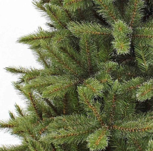 Triumph Tree - Weihnachtsbaum - Forest Frosted Slim - Grün - 230cm - 1b857aa408ba7e415042dd5efd828586b1e72186_Enriched_product_image_13da097c-4dd6-4ba1-83b6-bc69a2ba2dd0