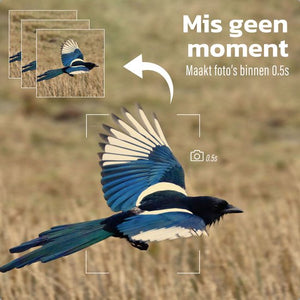 EarthVision Wildkamera Falke - Nachtsicht - Professionelle 4K Wildkamera - Infrarotkamera - Outdoor Kamera - Inkl. 32gb SD Karte - Wasserdicht - 3f673532ede003ca3ac3c29bc75a11a1738aeeb9_Enriched_product_image