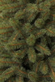 Triumph Tree Bristlecone Künstlicher Weihnachtsbaum - H120 x Ø79 cm - Grün - 42c71c74fb99e328e8e4aa389edc0d37f2cd31f8_Enriched_product_image_9fe6444c-e71a-4a11-ade0-6983fec45682