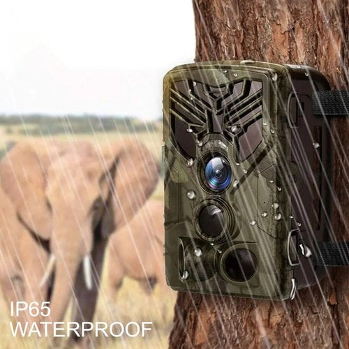 Wildtier- und Ãœberwachungskamera mit Wi-Fi, 8 MP CMOS-Sensor und Infrarot-Beleuchtung. - 55a2e01e-66b5-4ec5-b159-db9f612847ab