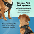 Jake und Jacky Hundegeschirr - Anti-Zieh-Geschirr - Hundegeschirr - Y-Geschirr Hund - Reflektierend - Schwarz - Größe S - 5e5e7f75152dfcc7bf33817d380b5cfdb8c173f0_Enriched_product_image