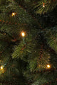 Triumph Tree Bristlecone Künstlicher Weihnachtsbaum mit LED-Lichtern - H215 x Ø127 cm - Dunkelgrün - 6e27e595d1752cd25bfb43db29c00bc9d3d93bc0_Enriched_product_image