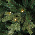 Triumph Tree Sherwood Deluxe Künstlicher Weihnachtsbaum mit LED-Lichtern - H185 x Ø127 cm - Grün - 865850fc17d70255345fc1a45d591a29a7ba6732_Enriched_product_image_e17559dd-7de3-4259-ac93-e3bf65a152fd