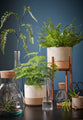 Mica Decorations Emily Übertopf - H25 x Ø23 cm - Recyceltes Glas - Transparent - a1ed57ecd18a71629d1d78294ab5b58fb324256b_Enriched_product_image