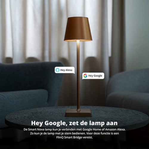 FlinQ Smart Table Lamp Nova - Wiederaufladbar und mit Touch Control - Für Schlafzimmer und Wohnzimmer - Kabellose Lampe auch als Stehlampe - Dimmbar und ideal für den Nachttisch - Industrial - Bronze - a3b75f23974dd5048f7d4e681a85da9475df5ea6_Enriched_product_image