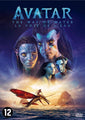 Avatar - Der Weg des Wassers (DVD) - c9efbfb52b28eb9ada1fd5a838fa43bcadf735c4_Enriched_product_image_f9581a3d-d7f7-4afd-a4fe-88ae128cd6e0