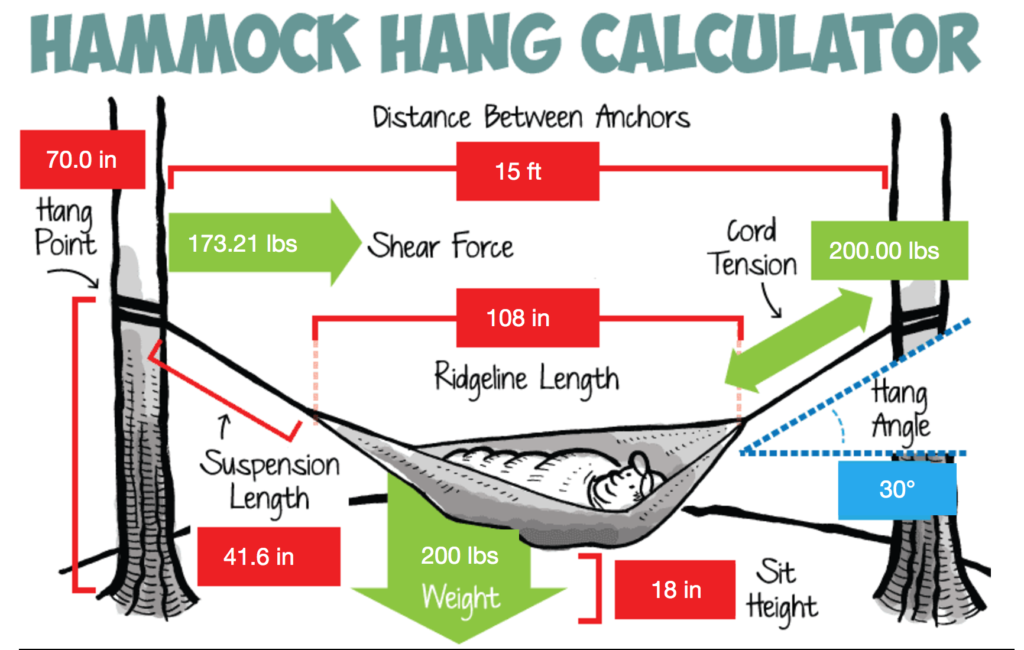 How to Hang Your Hammock [So Easy a Bear Can Do It] – Hammocks