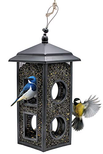 Sorbus Bird Feeder – Birdhouse Lantern Style Hanging Wild Bird Feeder, - Hammock Town