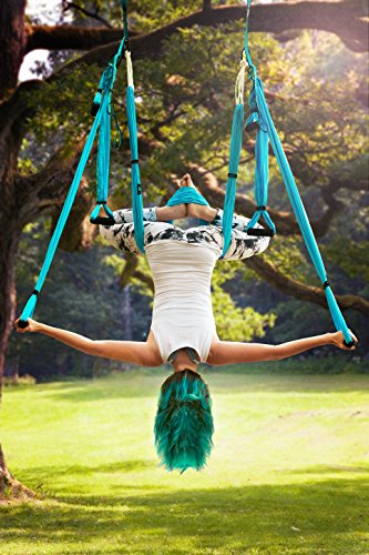 aerial yoga trapeze