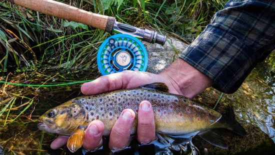 Piscifun Platte Pro Fly Reel Review – TruWild Life