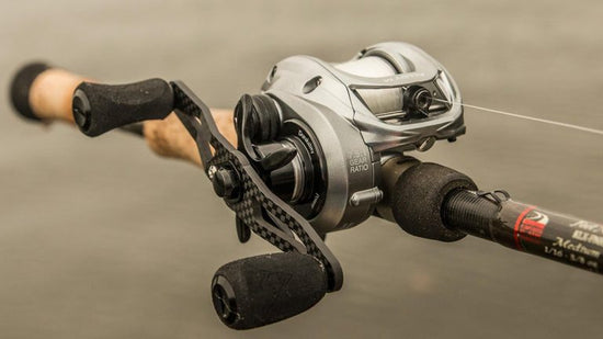 Piscifun Captain Spinning Reel Review – TruWild Life