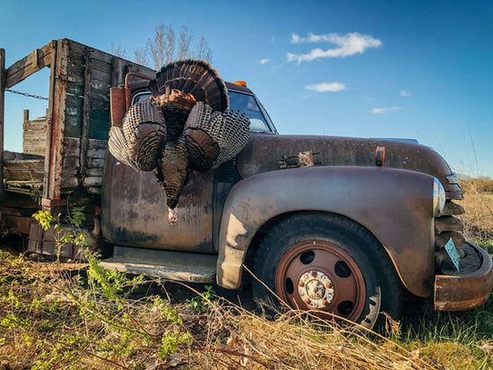 Types of Turkey Calls and When to Use Them