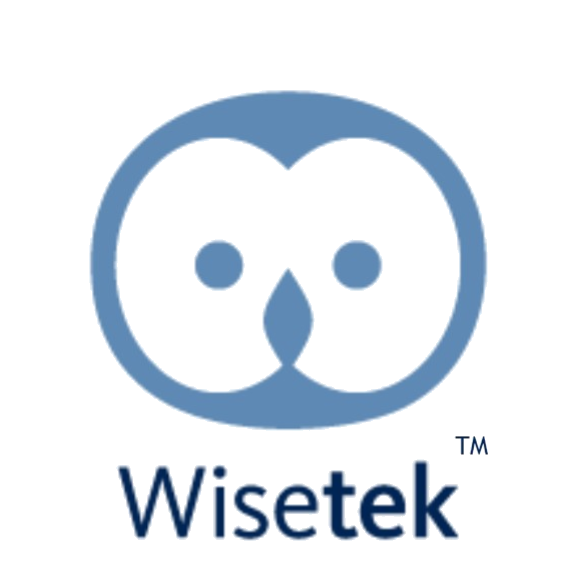 india.wisetekmarket.com