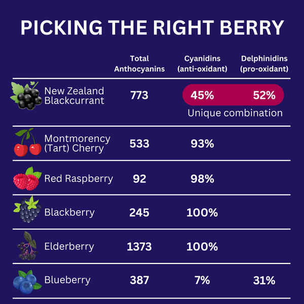 Blackcurrants have more athletic benefits than other berries such as cherries and blueberries
