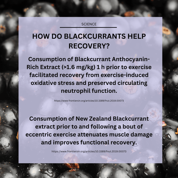 How blackcurrants help sports and athletic recovery
