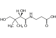 Vitamin B5 Chemical Diagram C9H17NO5