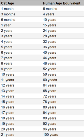 Cat age to human age conversion chart