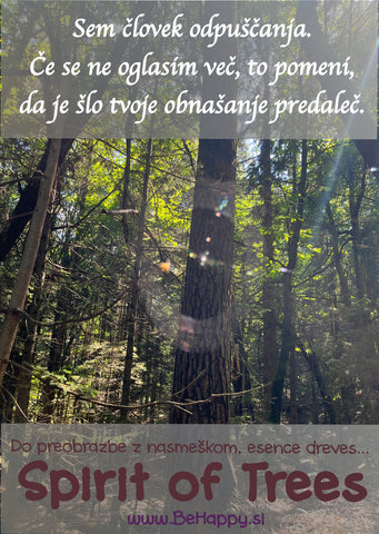 Esence-dreves-odpuščanje-veselje-spirit-of-trees