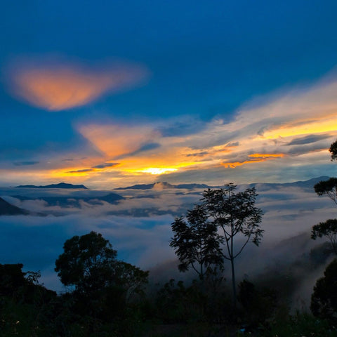Sonnenaufgang in Ecuador, wo eine der besten Kakaosorten – Arriba Nacional - herkommt