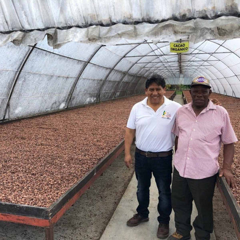 Cocoa beans from the Dominican Republic: Eco Caribe Farmer drying the cocoa beans