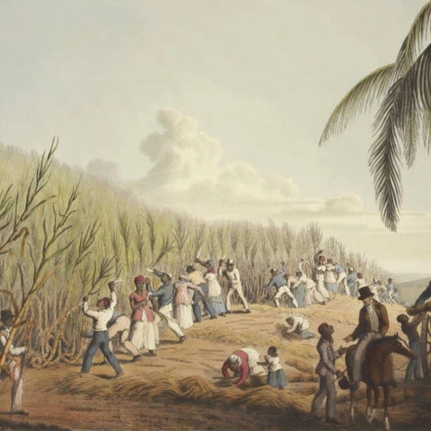 Bild einer Sklavengruppe