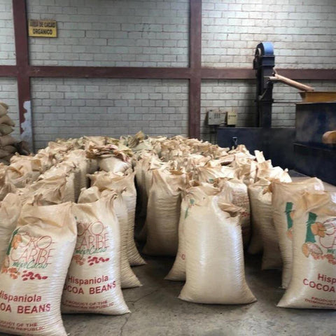 Cocoa beans from the Dominican Republic: the organic cocoa beans are ready to ship.