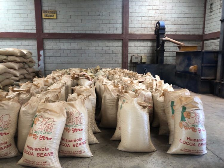 The organic cocoa beans are ready to be sent to the chocolate factory