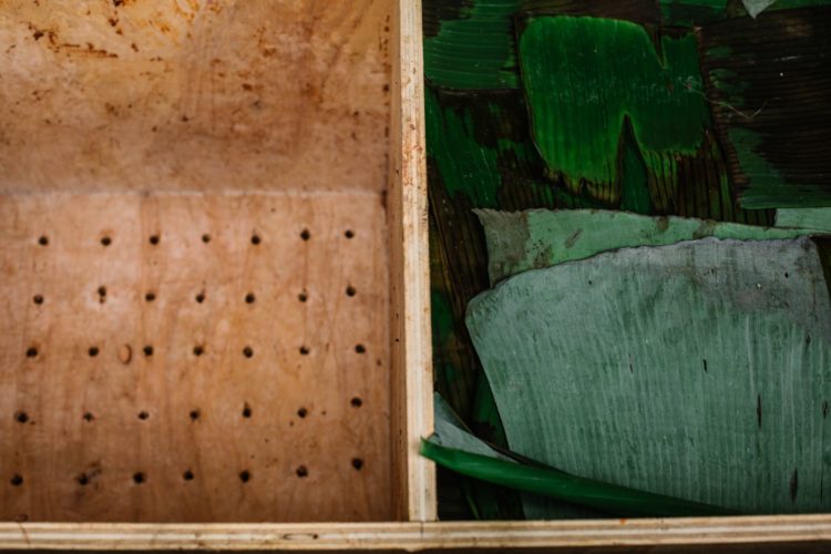 Fermentationsbox Kakao