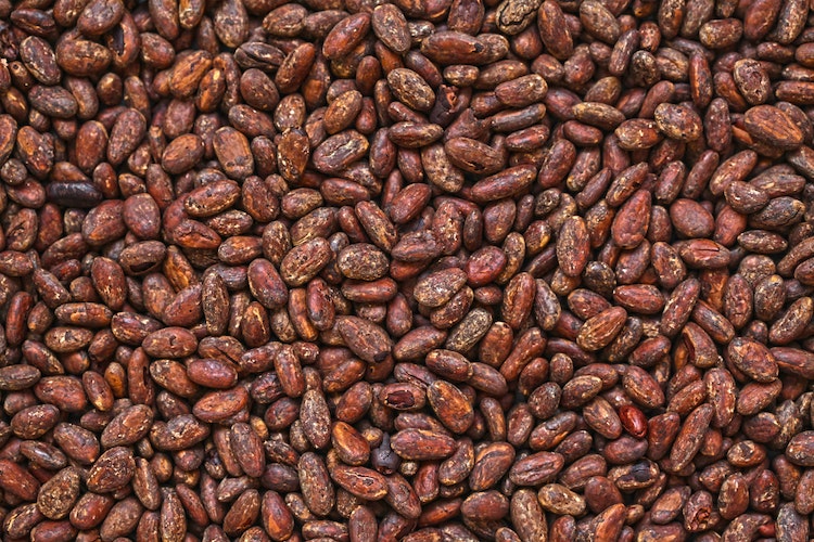 fair cocoa beans for good chocolate