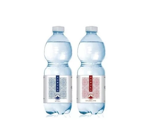 Acqua San Bernardo Plastica 1/2 litro – La Fonte beverages