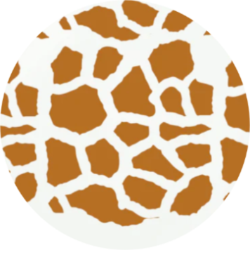 Giraffe on White.png__PID:e037d498-1583-4738-b78f-b5af5f7f359d